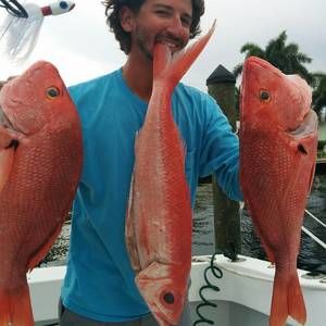 Meet your Posher, Maxime